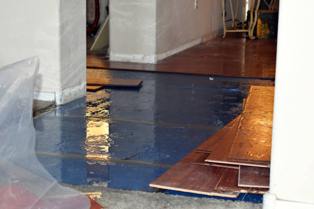 Professional Basement Flood Cleanup technician working in New Sharon, ME